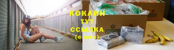 стаф Заволжск