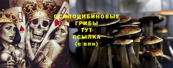 стаф Заволжск