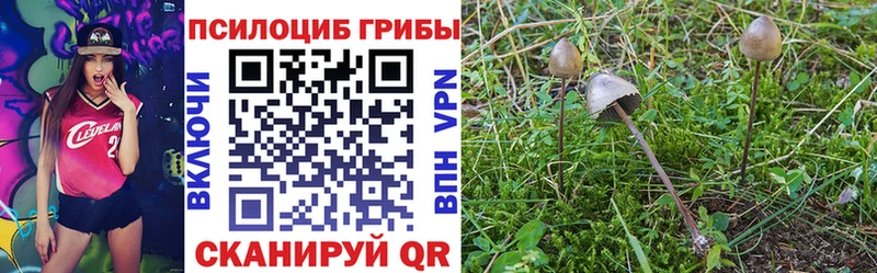 Псилоцибиновые грибы прущие грибы  Купить закладки  Северобайкальск 