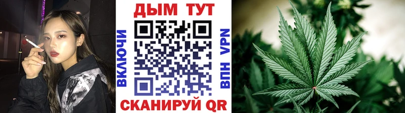 Шишки марихуана SATIVA & INDICA  Купить  Северобайкальск 